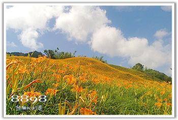 赤科山住宿．天心生態農場