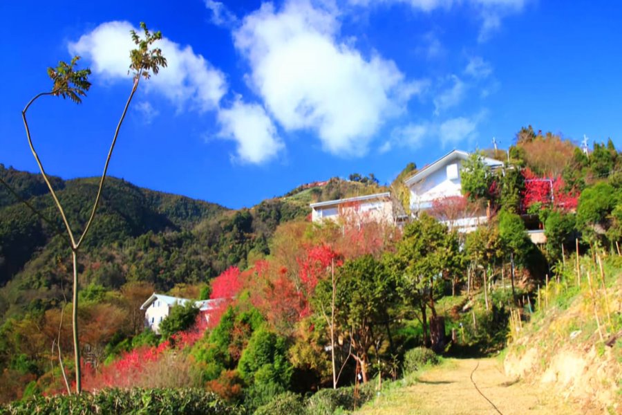 雪霸民宿．森悅雲海民宿