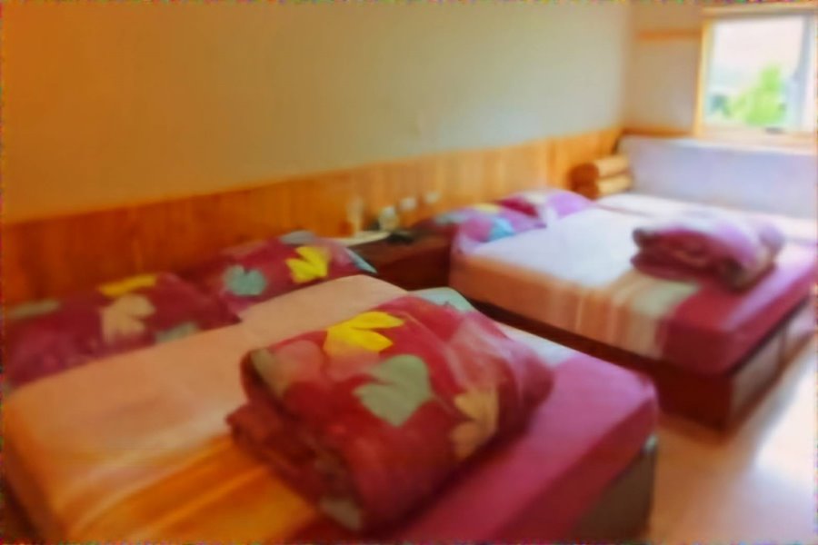 雪霸民宿．森悅雲海民宿