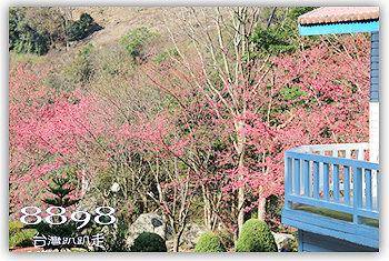 拉拉山民宿．溪景生態農莊
