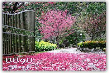 拉拉山民宿．溪景生態農莊