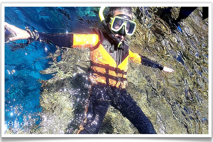 蘭嶼浮潛．法艾民宿